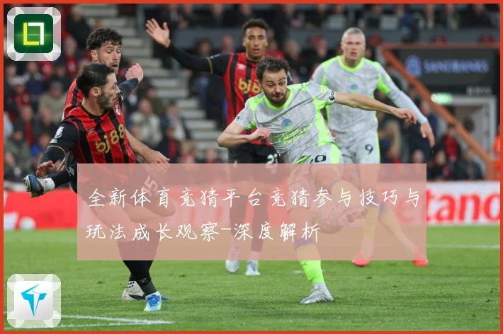 全新体育竞猜平台竞猜参与技巧与玩法成长观察-深度解析