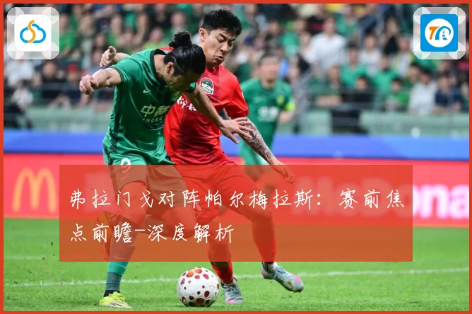 弗拉门戈对阵帕尔梅拉斯：赛前焦点前瞻-深度解析